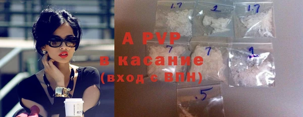 прущие грибы Беломорск