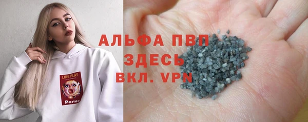прущие грибы Беломорск