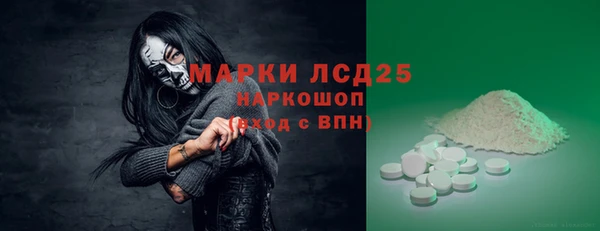 прущие грибы Беломорск