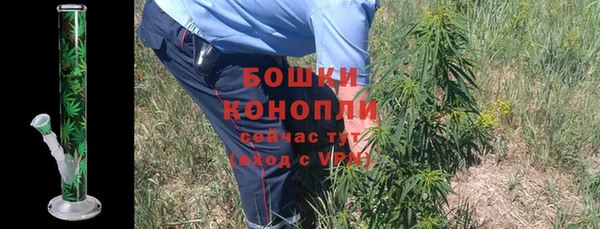 прущие грибы Беломорск
