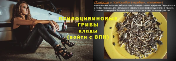 прущие грибы Беломорск