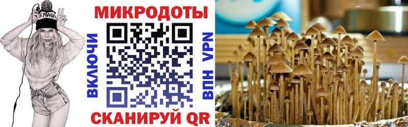 МЕГА ссылки  Горняк  Галлюциногенные грибы MAGIC MUSHROOMS 